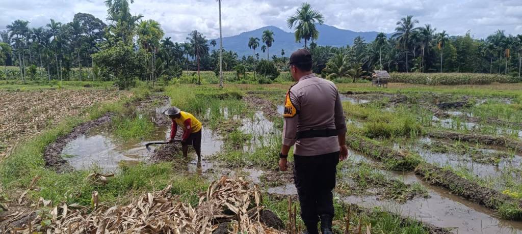 Sosialisasi Ketahanan Pangan: Bhabinkamtibmas Ajak Warga Manfaatkan Lahan Kosong di Nagari&nbsp;Malampah
