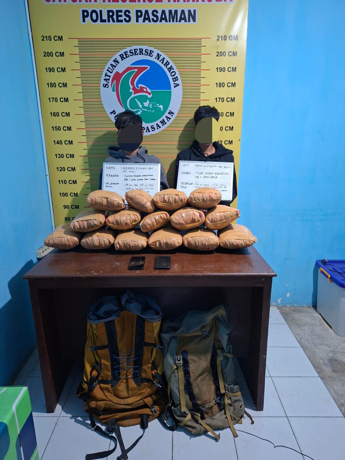 Sat Resnarkoba Polres Pasaman Tangkap Dua Pelaku, Amankan 15 Paket Besar Ganja