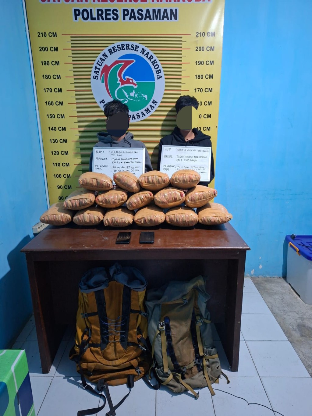 Sat Resnarkoba Polres Pasaman Tangkap Dua Pelaku, Amankan 15 Paket Besar&nbsp;Ganja