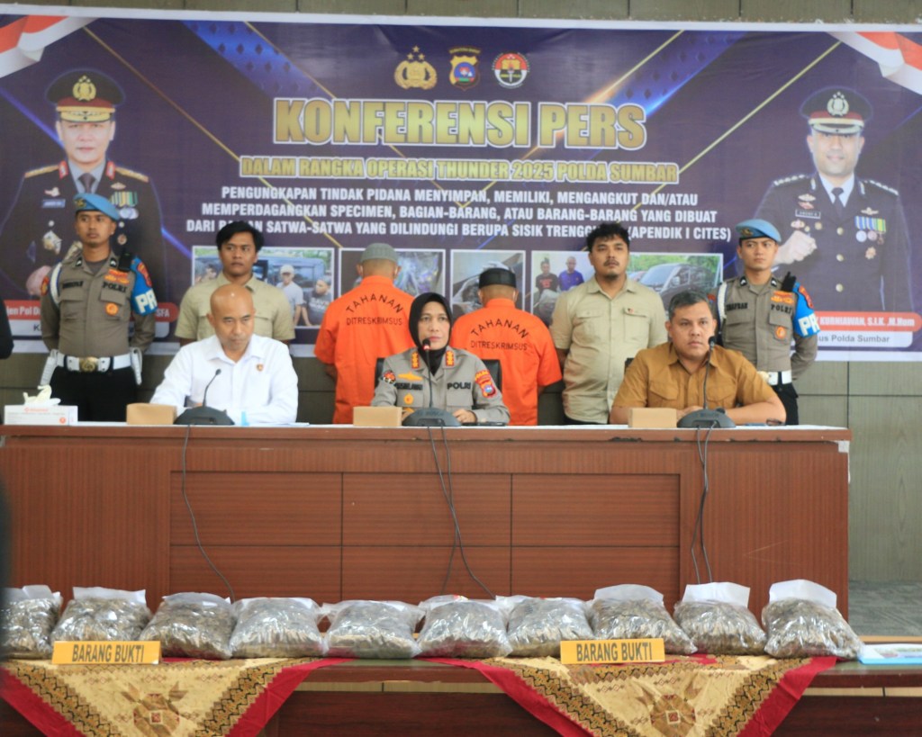 Polda Sumbar Ungkap Perdagangan Ilegal Sisik Trenggiling, Amankan 24,177 Kg dalam Operasi Thunder&nbsp;2025
