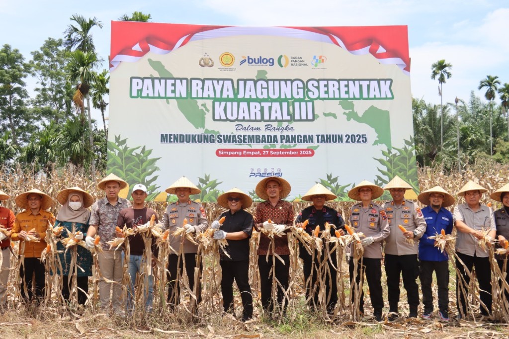 Polres Pasaman Barat Menggelar Panen Raya Jagung Kuartal III Dalam Mendukung Program Swasembada&nbsp;Pangan