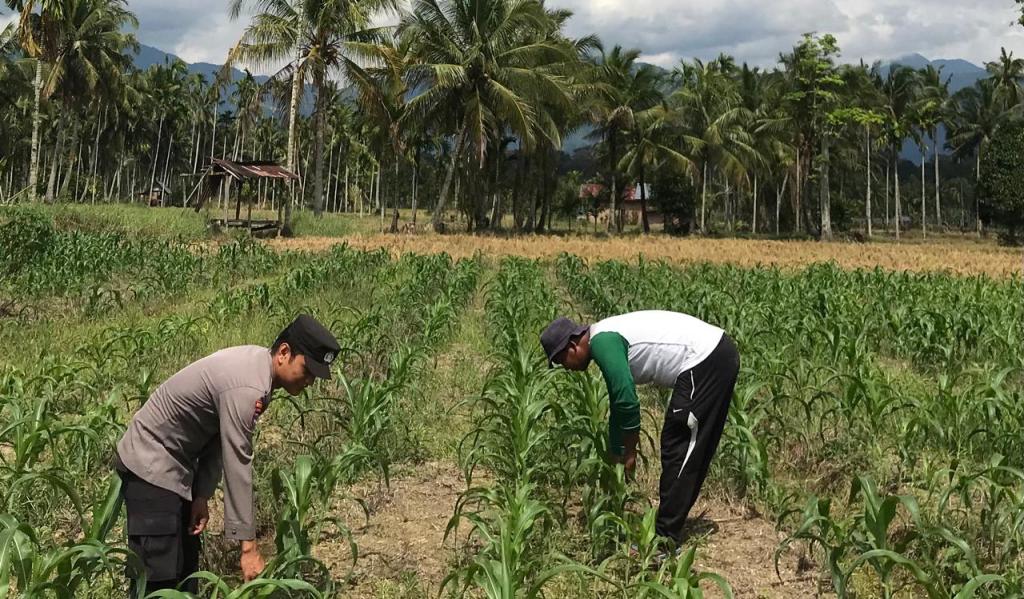 Bhabinkamtibmas Nagari Panti Ajak Masyarakat Produktif dan Dukung Ketahanan&nbsp;Pangan