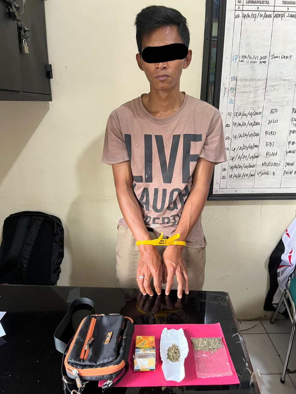 Satresnarkoba Polres 50 Kota Ringkus Pengedar Ganja di&nbsp;Harau