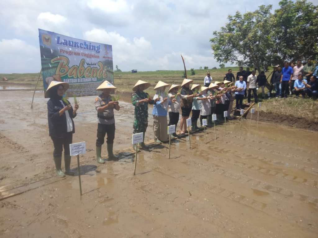 Dukung Ketahanan Pangan, Kapolsek Sungai Tarab Hadiri Launching Program Unggulan Bantuan Bertanam Padi (BABENDI) Kabupaten Tanah&nbsp;Datar
