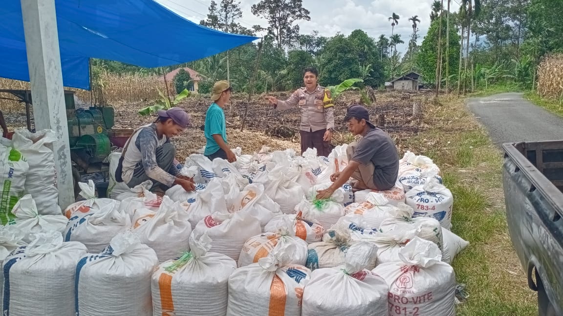 Bhabinkamtibmas Tanjung Beringin Sosialisasikan Pemanfaatan Lahan Kosong untuk Ketahanan Pangan