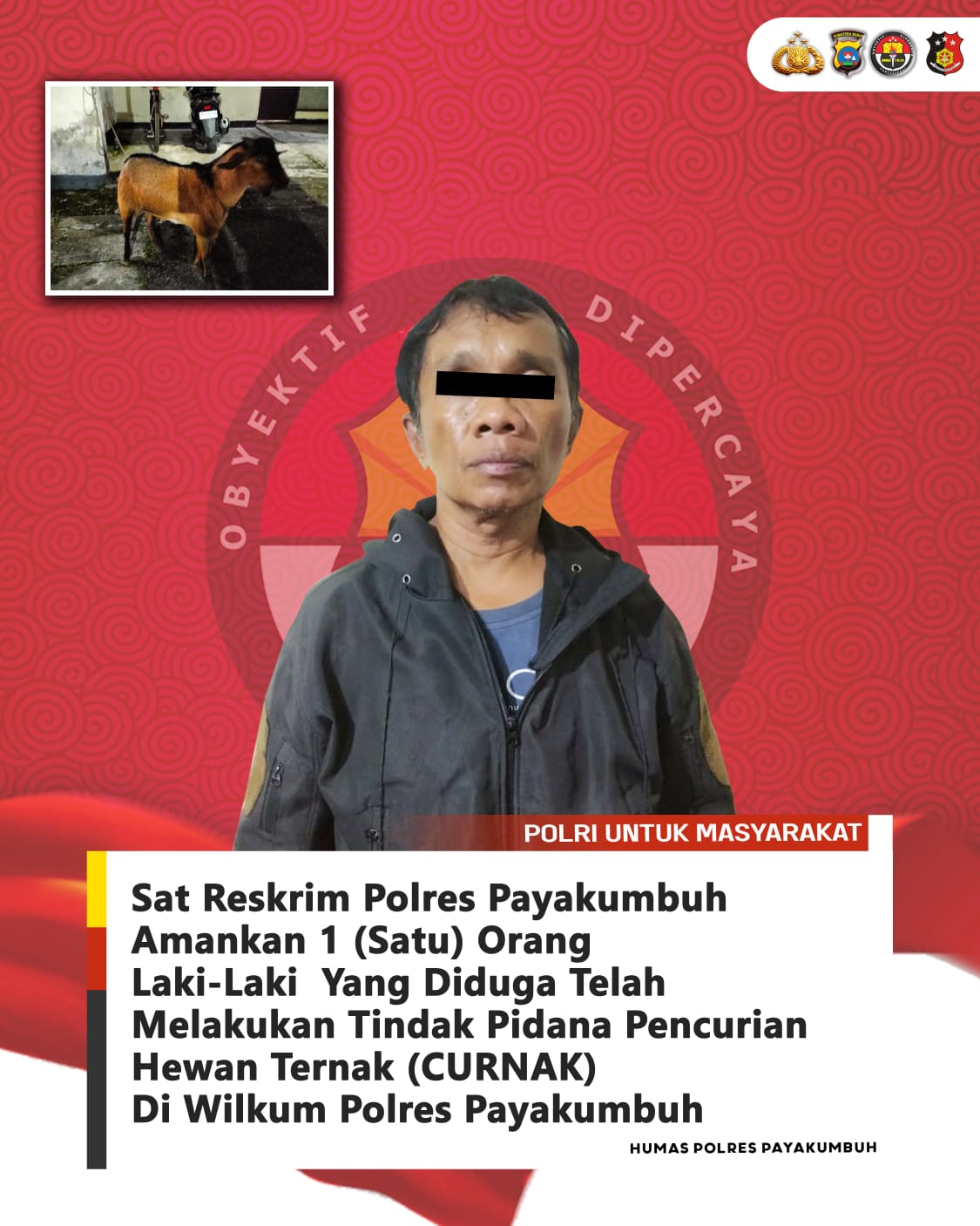 Turun Kasta, Residivis Curanmor Ditangkap Polisi Dalam Kasus Pencurian Ternak