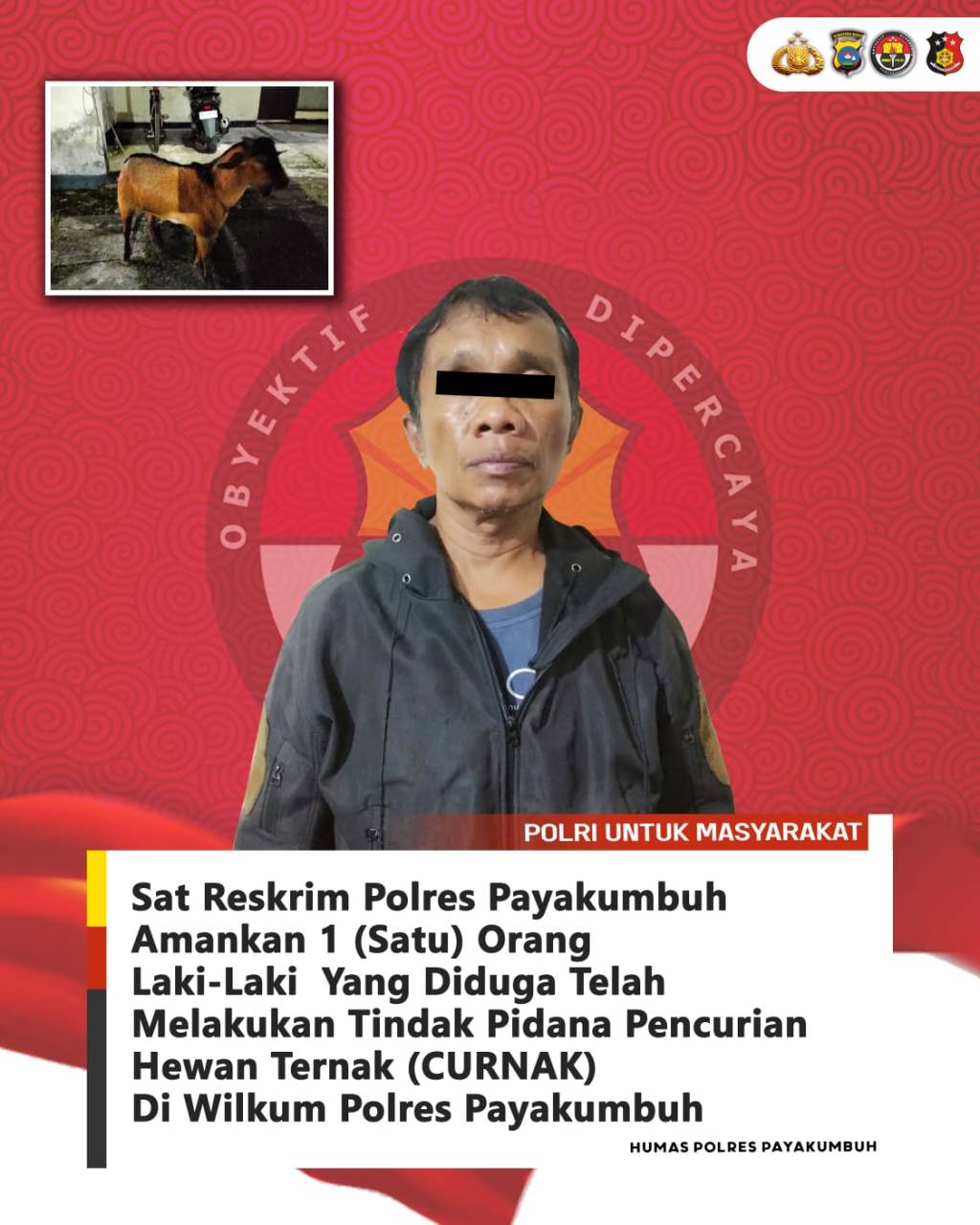 Turun Kasta, Residivis Curanmor Ditangkap Polisi Dalam Kasus Pencurian&nbsp;Ternak