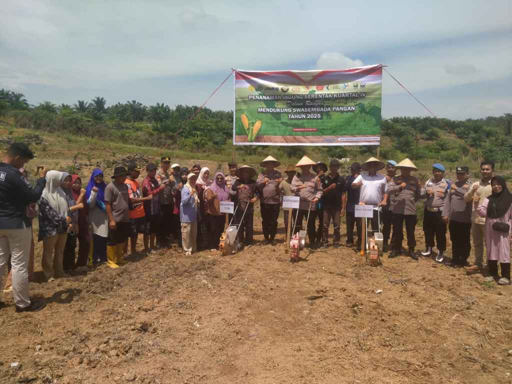 Polres Dharmasraya dan Kelompok Tani Tanam Jagung Serentak Kuartal V Dukung Swasembada Pangan&nbsp;2025