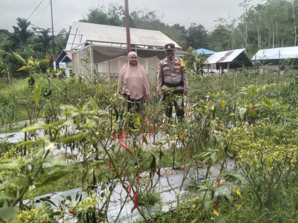 Bhabinkamtibmas Koto Rajo Ajak Warga Manfaatkan Lahan Kosong untuk Ketahanan&nbsp;Pangan