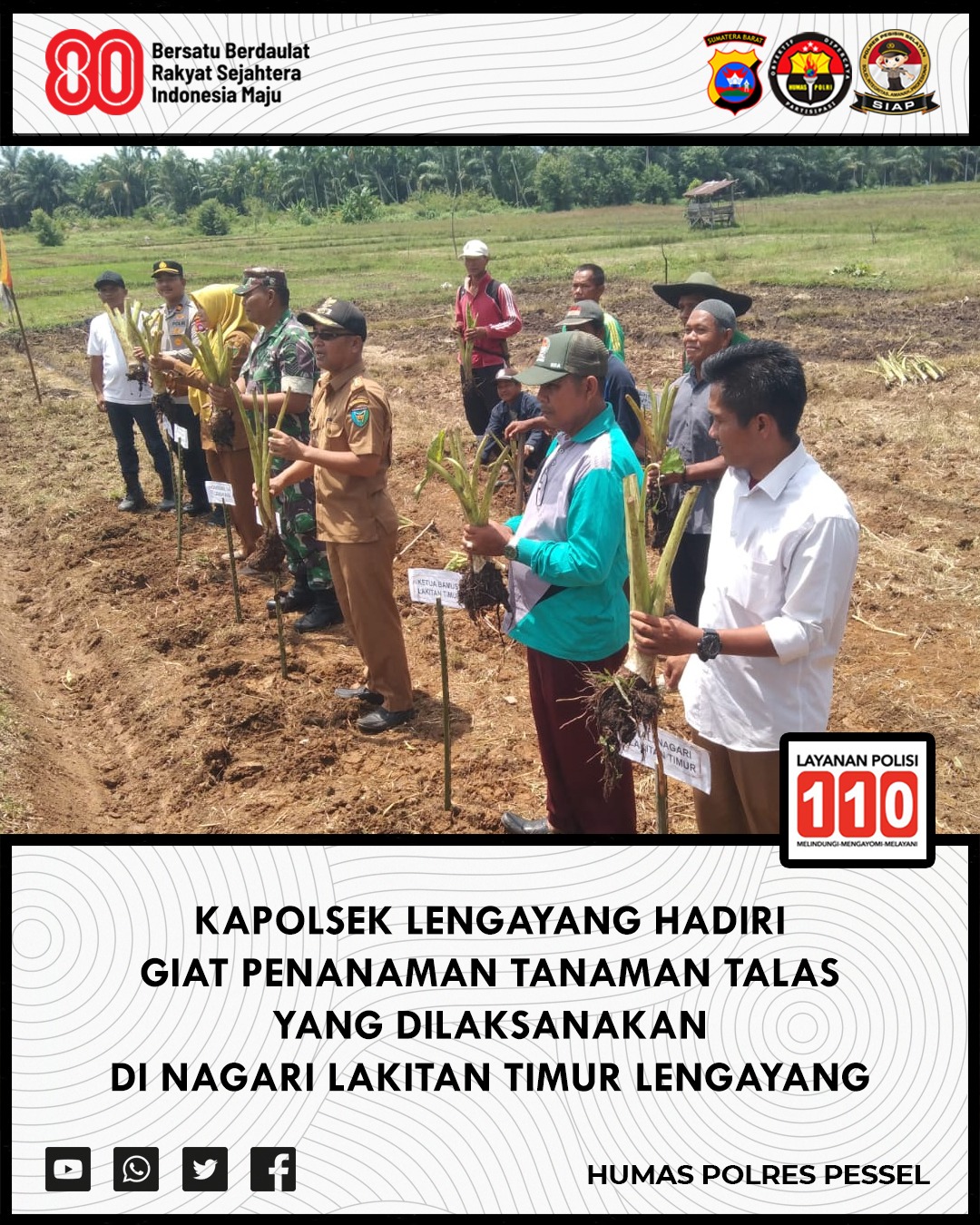 Dukung Potensi Lokal, Kapolsek Lengayang Hadiri Penanaman Perdana Talas Kelompok Tani