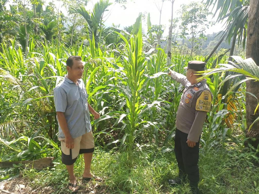 Bhabinkamtibmas Polsek Bonjol Ajak Warga Simpati Manfaatkan Lahan Kosong untuk Ketahanan&nbsp;Pangan