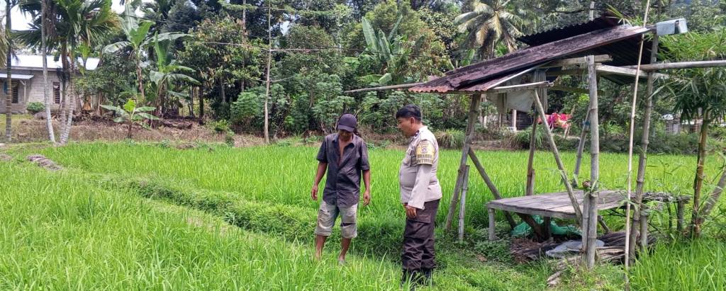 Bhabinkamtibmas Nagari Alahan Mati Ajak Petani Manfaatkan Lahan Pekarangan Dukung Ketahanan Pangan&nbsp;Nasional