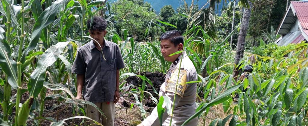 Bhabinkamtibmas Nagari Alahan Mati Ajak Warga Membuka Lahan Kosong untuk Ketahanan&nbsp;Pangan