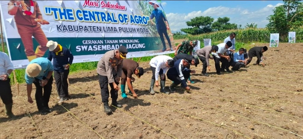Waka Polres 50 Kota Turun Sawah! Polri Kawal “The Central of Agro” Swasembada Jagung Asta&nbsp;Cita