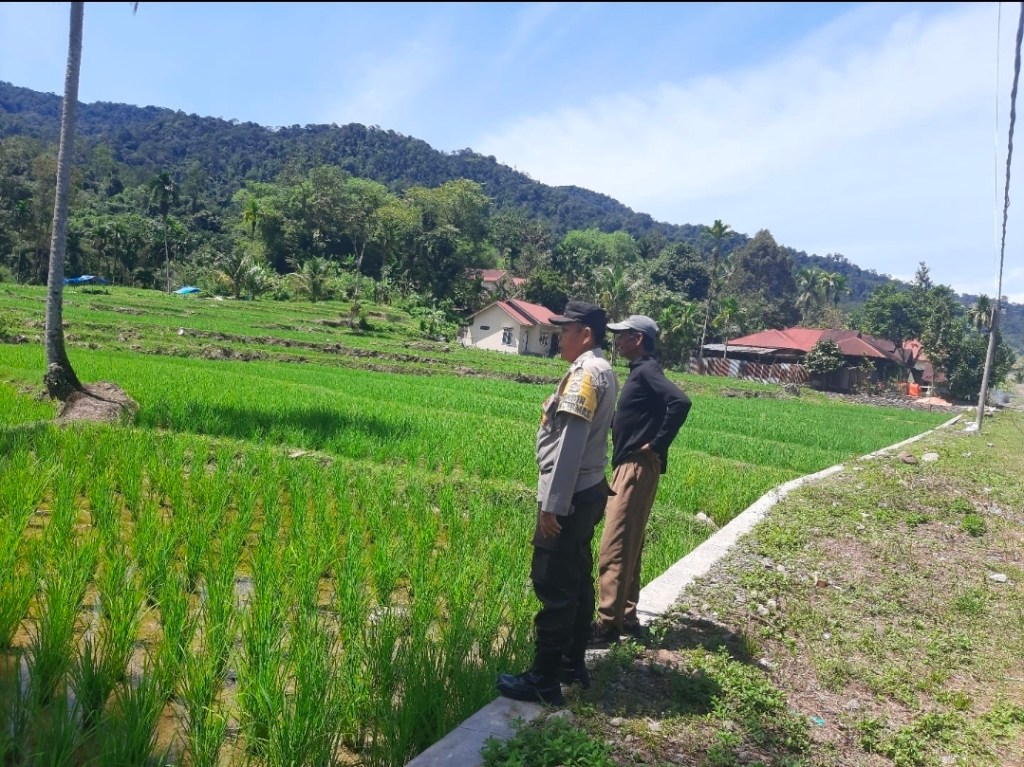 Bhabinkamtibmas Ganggo Hilia Gencarkan Kunjungan Warga untuk Ketahanan Pangan di&nbsp;Bonjol