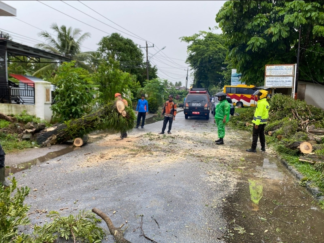 Cepat tanggap Personil Sat Lantas Polres Pariaman dalam memberikan pelayanan pohon tumbang yang menghalangi badan jalan.