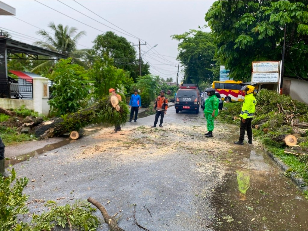 Cepat tanggap Personil Sat Lantas Polres Pariaman dalam memberikan pelayanan pohon tumbang yang menghalangi badan&nbsp;jalan.