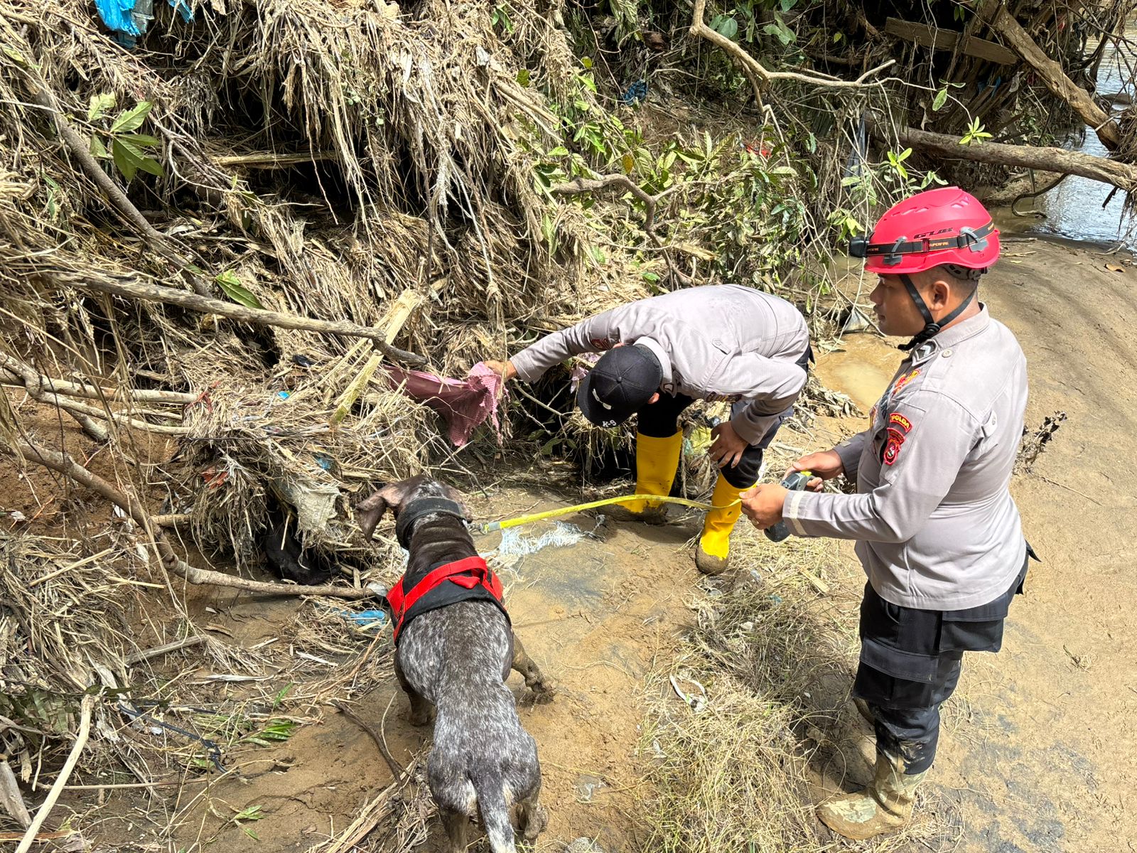 Tim K9 Polda Sumbar Sisir Sungai Batang Nanggang, Pencarian Korban Banjir Bandang di Palembayan