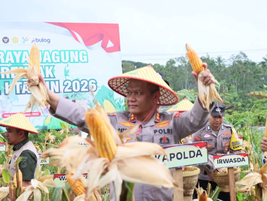 Kapolda Sumbar Bersama Forkopimda Gelar Panen Raya Jagung Serentak Kuartal I Tahun 2026 di Kota&nbsp;Solok
