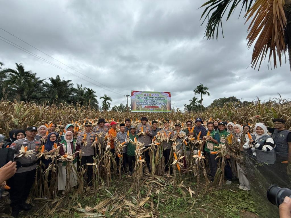 Polres Dharmasraya Gelar Panen Raya Jagung Serentak Kuartal I 2026 di&nbsp;Sitiung
