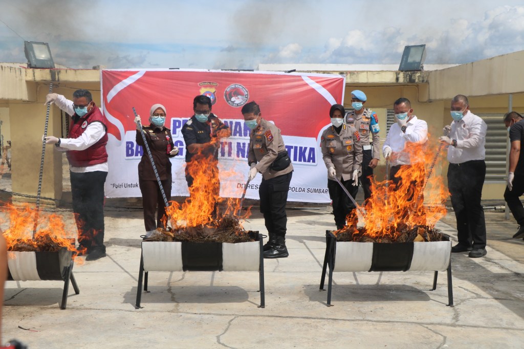 Wujudkan Transparansi Penanganan Perkara, Polda Sumbar Musnahkan Puluhan Kilogram Ganja Barang Bukti&nbsp;Narkoba