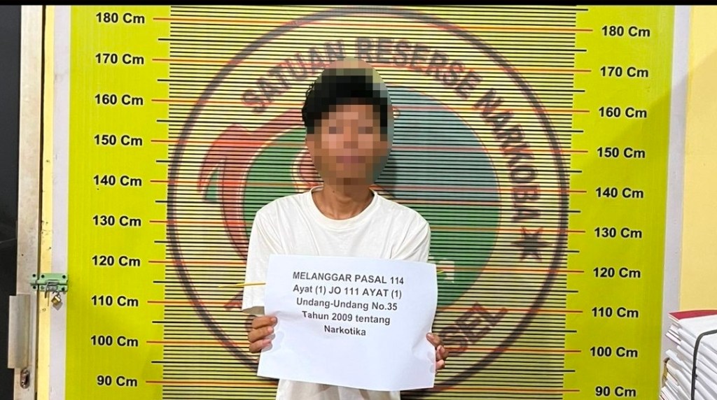 Satresnarkoba Polres Pesisir Selatan Tangkap Pengedar Ganja di Wilayah&nbsp;Sutera