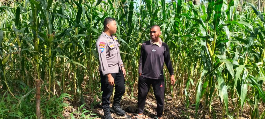 Dukung Asta Cita Presiden, Bhabinkamtibmas Polsek Bonjol Ajak Warga Koto Kaciak Barat Manfaatkan Lahan&nbsp;Tidur