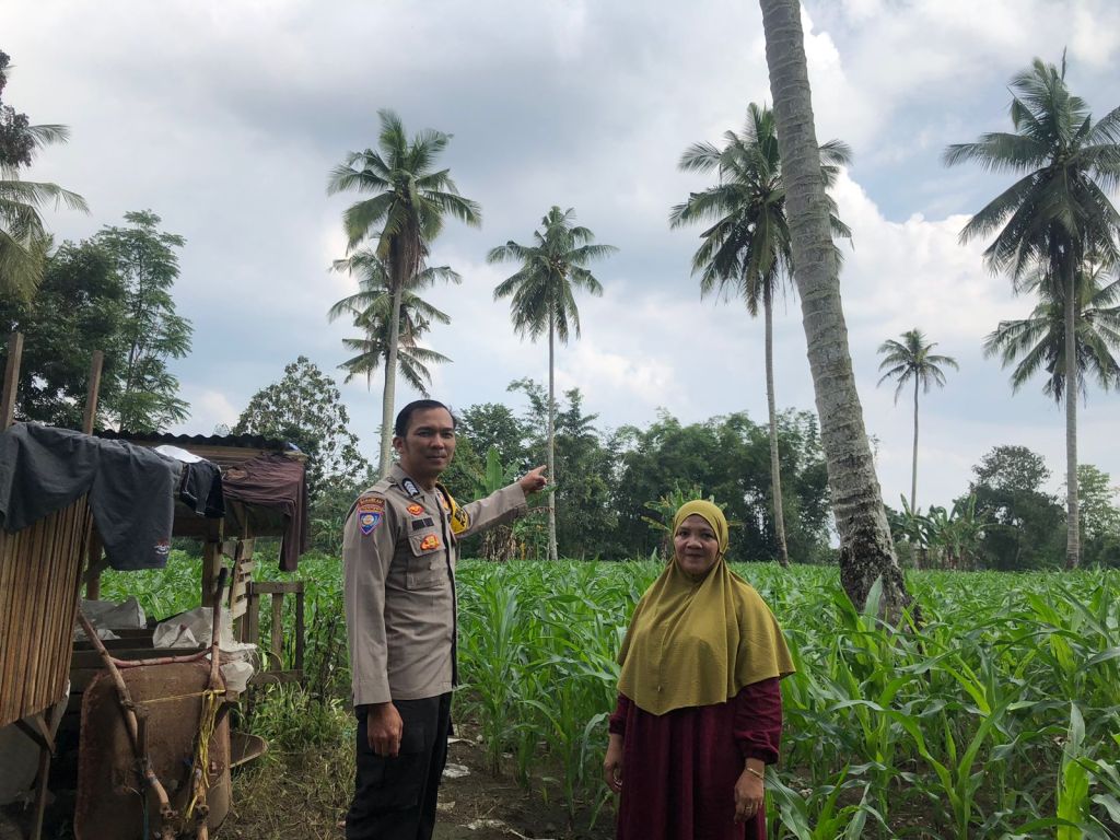 Bhabinkamtibmas Nagari Mungka dan Jopang Manganti Dukung Program Asta Cita Ketahanan Pangan&nbsp;Nasional