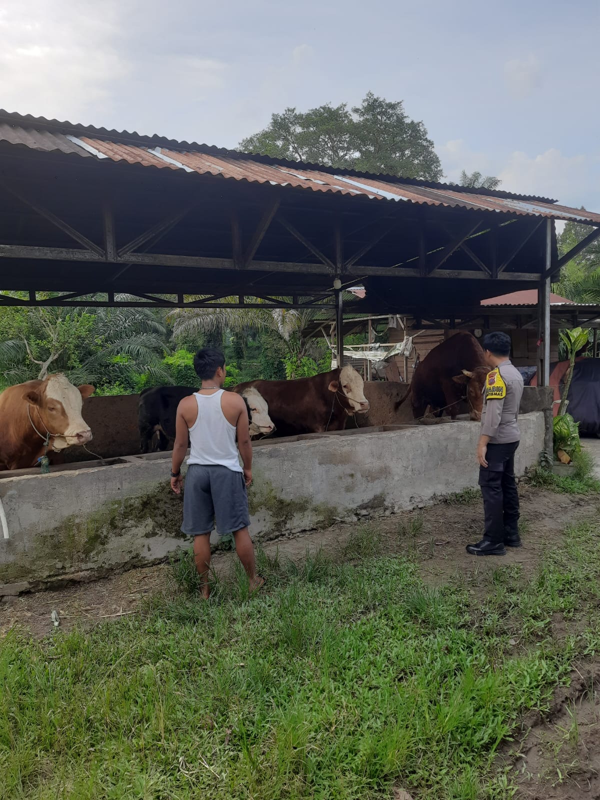 Dukung Program Asta Cita Presiden, Bhabinkamtibmas Panti Timur Ajak Warga Optimalkan Ketahanan Pangan