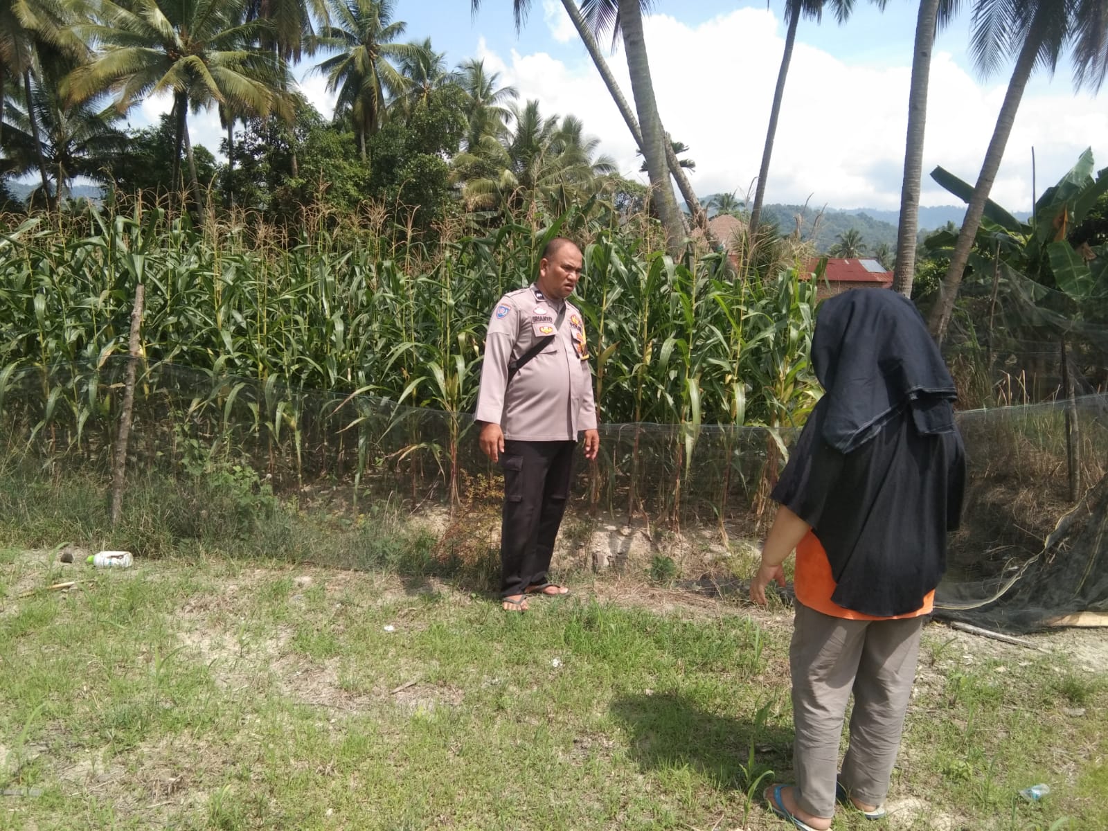 Dukung Ketahanan Pangan, Bhabinkamtibmas Nagari Koto Nopan Sambangi Petani Jagung