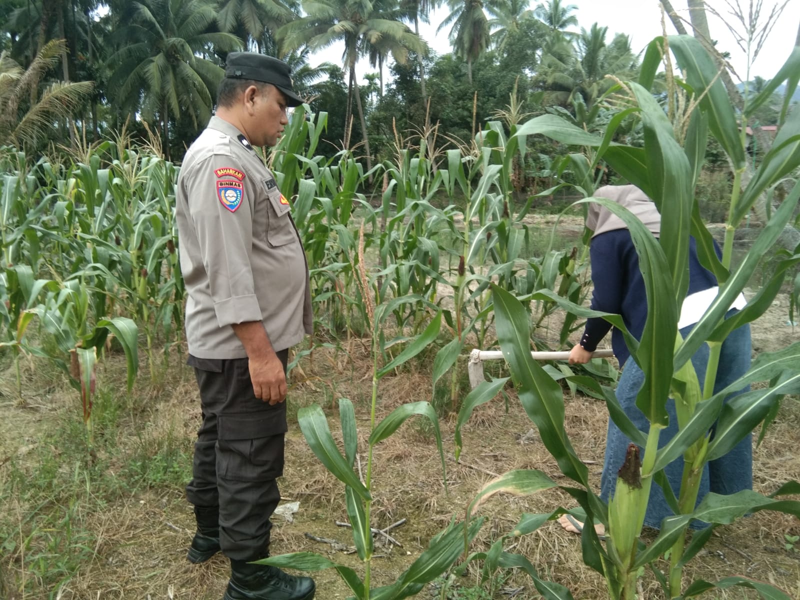 Bhabinkamtibmas Nagari Koto Nopan Datangi Warga Binaan, Ajak Dukung Ketahanan Pangan