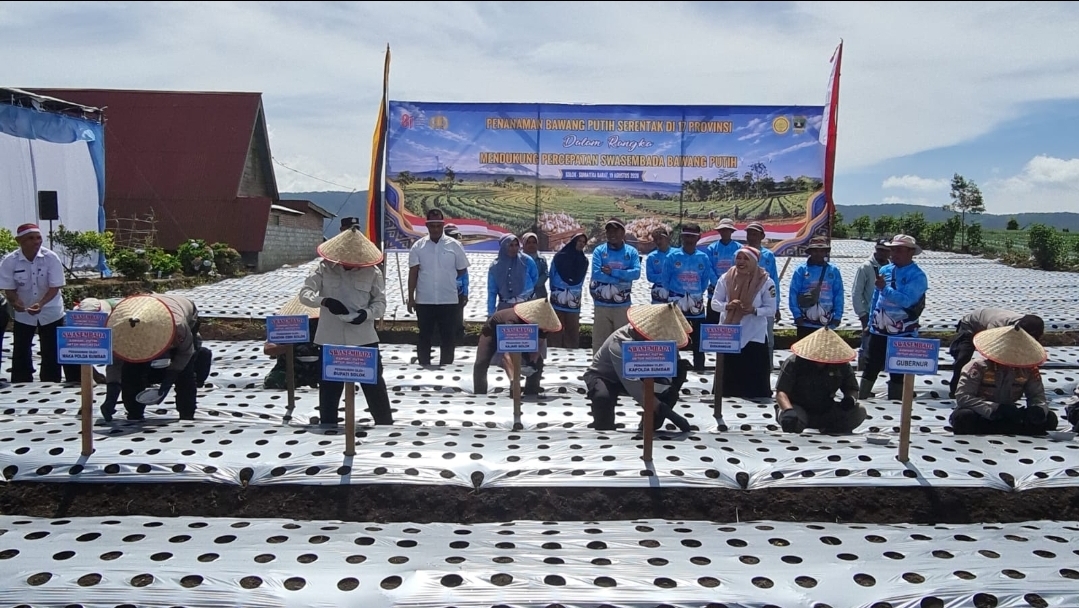 Kapolda Sumbar Pimpin Penanaman Perdana 1,6 Ton Bibit Bawang Putih di Danau Kembar Kabupaten Solok