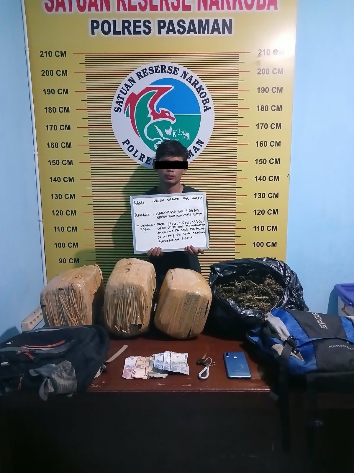 Polsek Bonjol Polres Pasaman Tangkap Dua Kurir Ganja, 23 Kilogram Diamankan