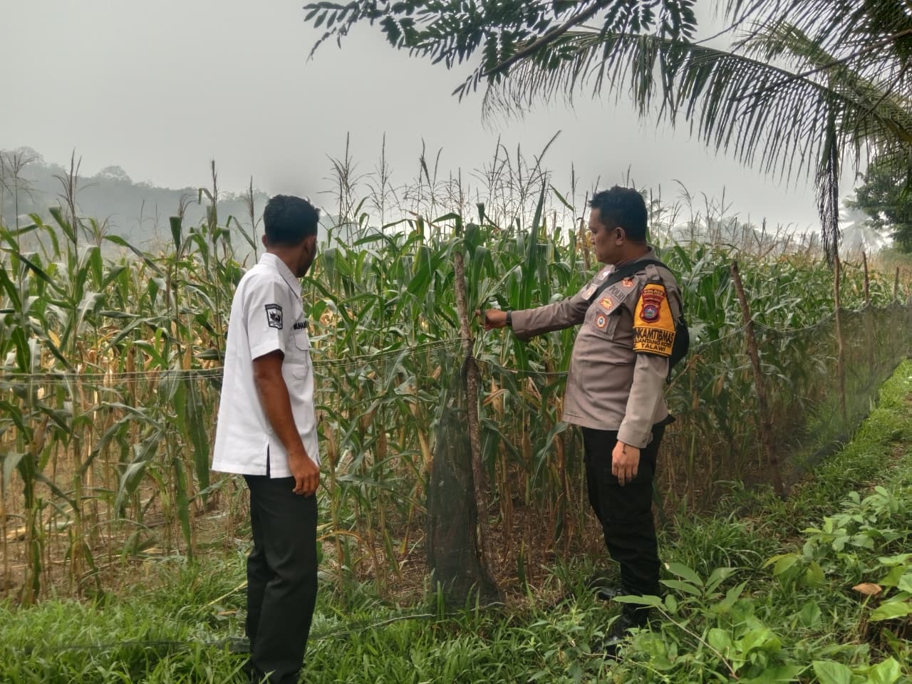 Bhabinkamtibmas Polres Sawahlunto Dukung Ketahanan Pangan Masyarakat