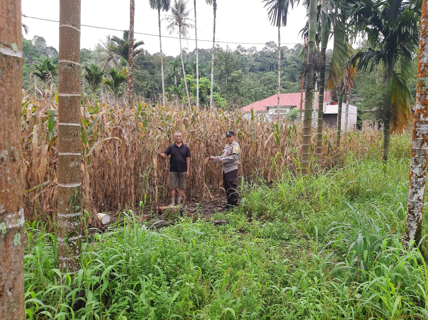 Bhabinkamtibmas Polres Pasaman Dorong Warga Manfaatkan Lahan untuk Ketahanan Pangan