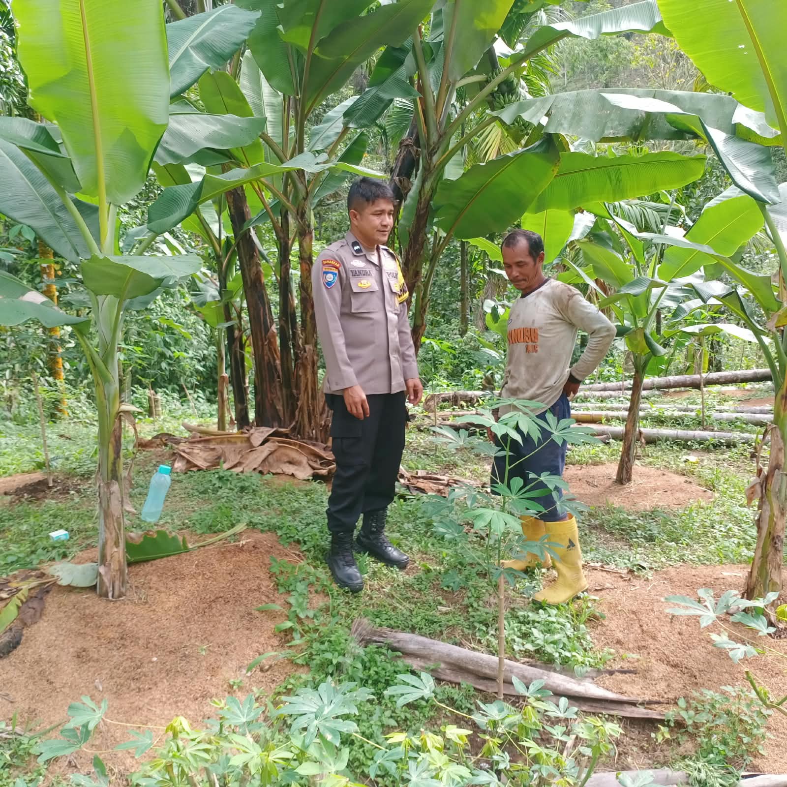 Bhabinkamtibmas Polres Pasaman Ajak Warga Dukung Ketahanan Pangan Melalui Beternak dan Berkebun